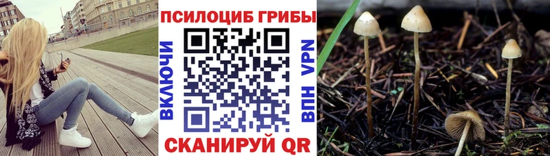 Галлюциногенные грибы мицелий  Купить  Белоозёрский 